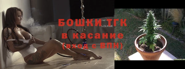 стаф Алзамай