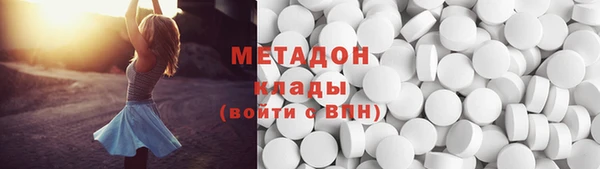 стаф Алзамай