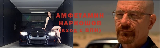 стаф Алзамай