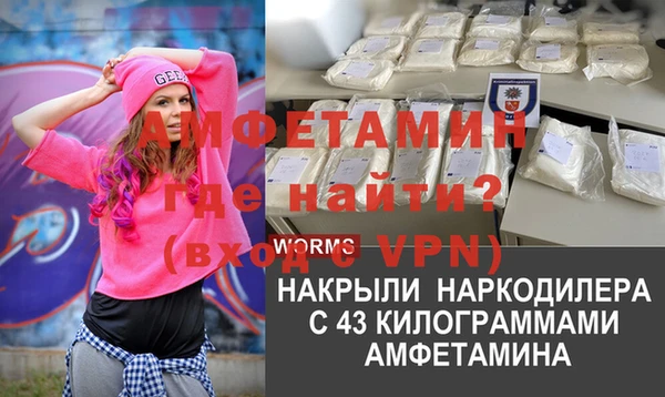 стаф Алзамай