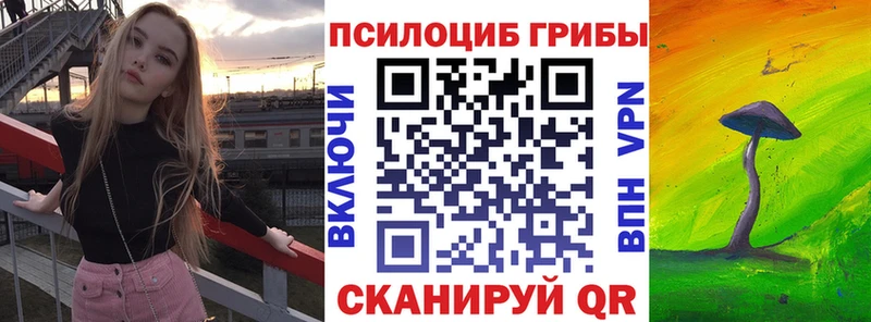 blacksprut ссылка  Апрелевка  Псилоцибиновые грибы мухоморы 